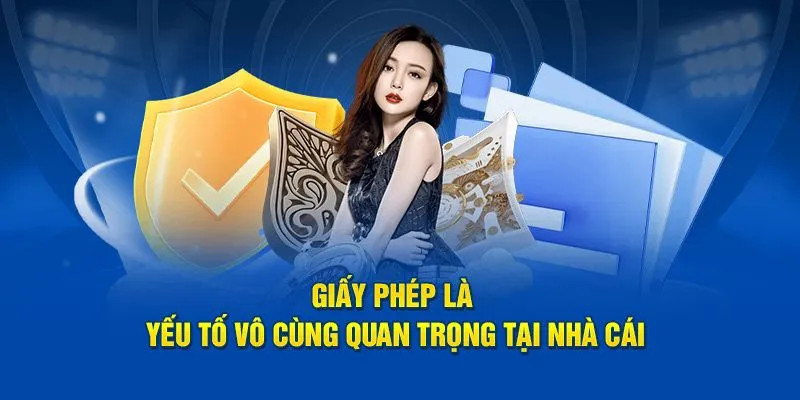 Các loại giấy phép khẳng định độ uy tín của KO66