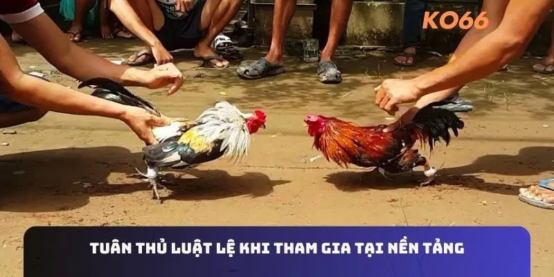 Tuân thủ luật lệ khi tham gia tại nền tảng